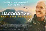 简·古道尔《网上赌搏网站十大排行》. 如果你要做一件事，就要全力以赴.简·古道尔(Jane Goodall)的照片右看，背景是山/丘陵和日落时飞翔的鸟儿.